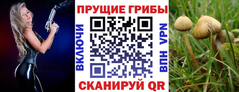 Псилоцибиновые грибы Psilocybine cubensis  хочу наркоту  shop клад  Сольвычегодск 